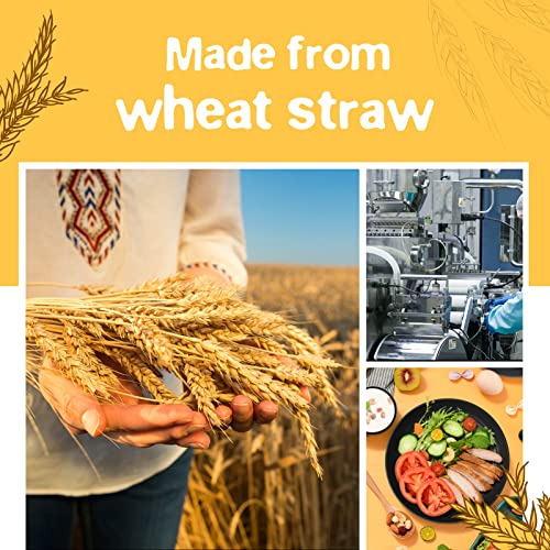 Teivio 32-Piece Kitchen Plastic Wheat Straw Dinnerware Set, Service for 8, Unbreakable Modern Dish Set - Dinner Plate/Dessert Plate/Cereal Bowl/Cup, for Apartment Essentials, Outdoor Camping, Black - My Kitchen Products