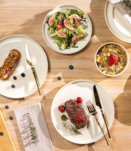 TheTerra Ceramic Dinnerware Sets for 4, 12 Pieces Porcelain Lightweight Plates and Bowls Sets, Scratch Resistant Dish Set, Oven & Microwave & Dishwasher Safe, Beige - My Kitchen Products