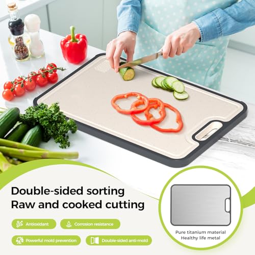 Titanium Cutting Board Double Sided Food Grade, Pure Titanium/PP for Kitchen, Cutting Board Easy to Clean[15.5”*10.5”+12”*8.5”] - My Kitchen Products