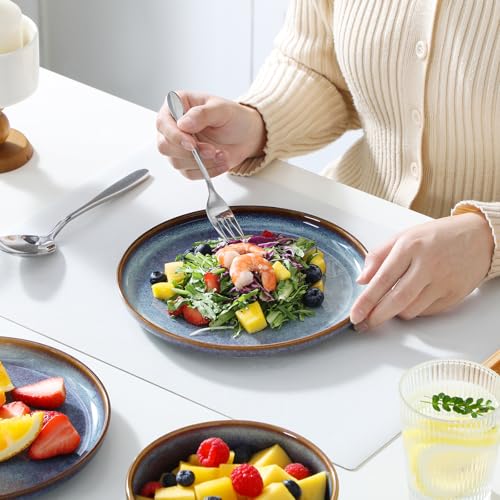 vancasso PLAYA Plates and Bowls Sets, 12 Pieces Grey-Blue Dinnerware Sets for Kitchen, Reactive Glaze Dishes Set for 4, Dishwasher and Microwave Safe - My Kitchen Products