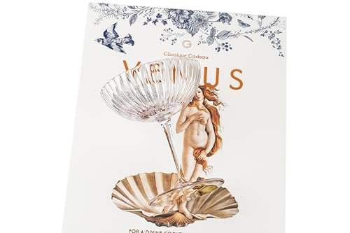 Venus Seashell Coupe Cocktail Glasses | Set of 4 | 8 oz Crystal Ribbed Champagne Saucers for Drinking P-Star and Espresso Martini, Margarita, Daiquiri, Cosmopolitan, Gimlet | Elegant Gift Glassware - My Kitchen Products