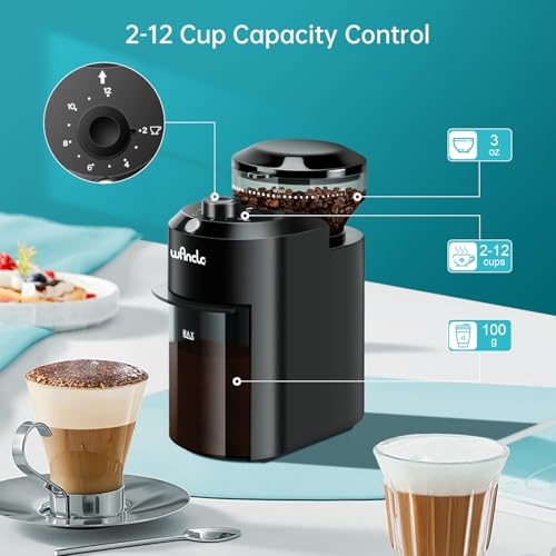 Wancle Electric Burr Coffee Grinder - Adjustable with 28 Precise Grind Settings for 12 Cups - Professional Coffee Bean Grinder (Plastic, Black) - My Kitchen Products