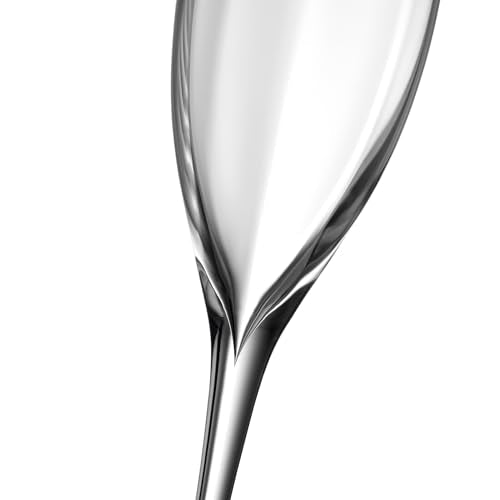 Waterford Elegance Optic Classic Champagne Flute, Pair - My Kitchen Products
