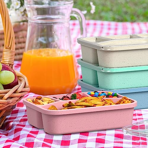 XGXN Bento Box Adult Lunch Box (4 Pack), 4-Compartment Meal Prep Container for Kids, Reusable Food Storage Containers with Transparent Lids, No BPA, Microwaveable (Wheat (Green/Blue/Pink/Beige)) - My Kitchen Products