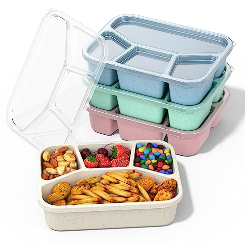 XGXN Bento Box Adult Lunch Box (4 Pack), 4-Compartment Meal Prep Container for Kids, Reusable Food Storage Containers with Transparent Lids, No BPA, Microwaveable (Wheat (Green/Blue/Pink/Beige)) - My Kitchen Products