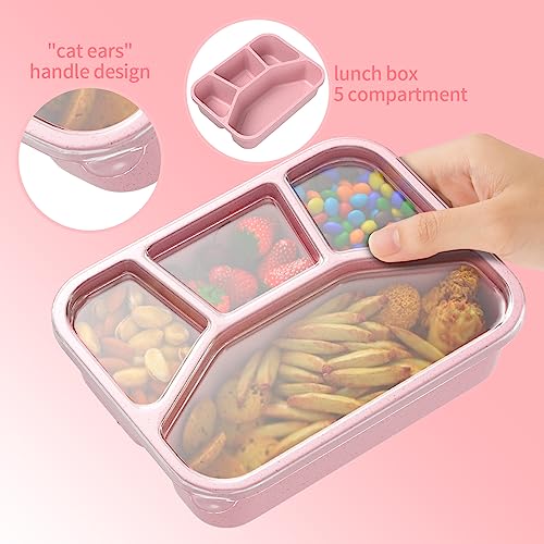 XGXN Bento Box Adult Lunch Box (4 Pack), 4-Compartment Meal Prep Container for Kids, Reusable Food Storage Containers with Transparent Lids, No BPA, Microwaveable (Wheat (Green/Blue/Pink/Beige)) - My Kitchen Products