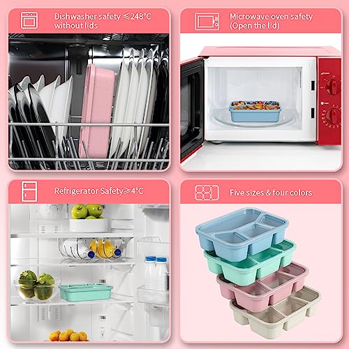 XGXN Bento Box Adult Lunch Box (4 Pack), 4-Compartment Meal Prep Container for Kids, Reusable Food Storage Containers with Transparent Lids, No BPA, Microwaveable (Wheat (Green/Blue/Pink/Beige)) - My Kitchen Products
