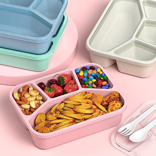 XGXN Bento Box Adult Lunch Box (4 Pack), 4-Compartment Meal Prep Container for Kids, Reusable Food Storage Containers with Transparent Lids, No BPA, Microwaveable (Wheat (Green/Blue/Pink/Beige)) - My Kitchen Products