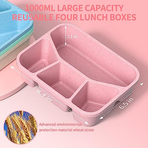 XGXN Bento Box Adult Lunch Box (4 Pack), 4-Compartment Meal Prep Container for Kids, Reusable Food Storage Containers with Transparent Lids, No BPA, Microwaveable (Wheat (Green/Blue/Pink/Beige)) - My Kitchen Products