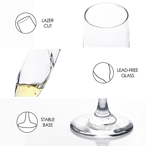 YARYOUNG Champagne Flute Glasses Set of 12, 6 Oz Classic Champagne Glass Set for Wedding, Birthday, Anniversary, Party - My Kitchen Products