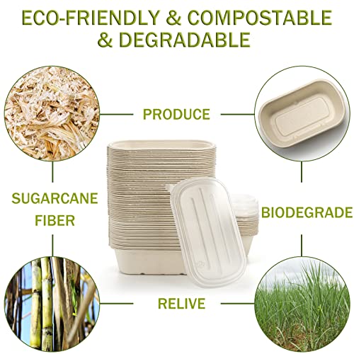Yesland 70 Pack Compostable Take Out Food Containers with PP Lid, 23 Oz Bagasse to Go Containers Rectangular Disposable Paper Bowls, Biodegradable Meal Prep Food Container for Salad, Leftovers - My Kitchen Products