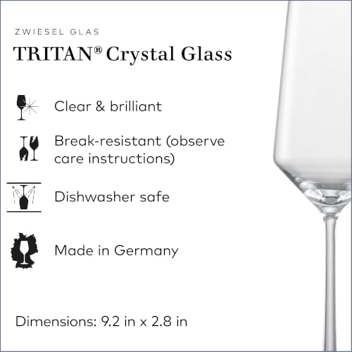 ZWIESEL GLAS Pure Champagne Glass (Set of 6), Champagne Flutes with Effervescent Point, Dishwasher-Safe Tritan Crystal Glasses, Made in Germany (10 Ounce) - My Kitchen Products